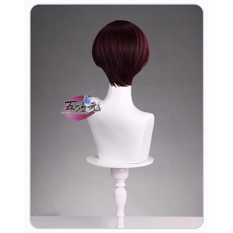 WIND BREAKER 蘇枋隼飛 ウィッグ 【公式通販】