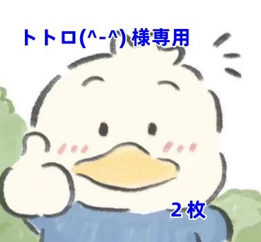 トトロ様　専用 トトロ様専用