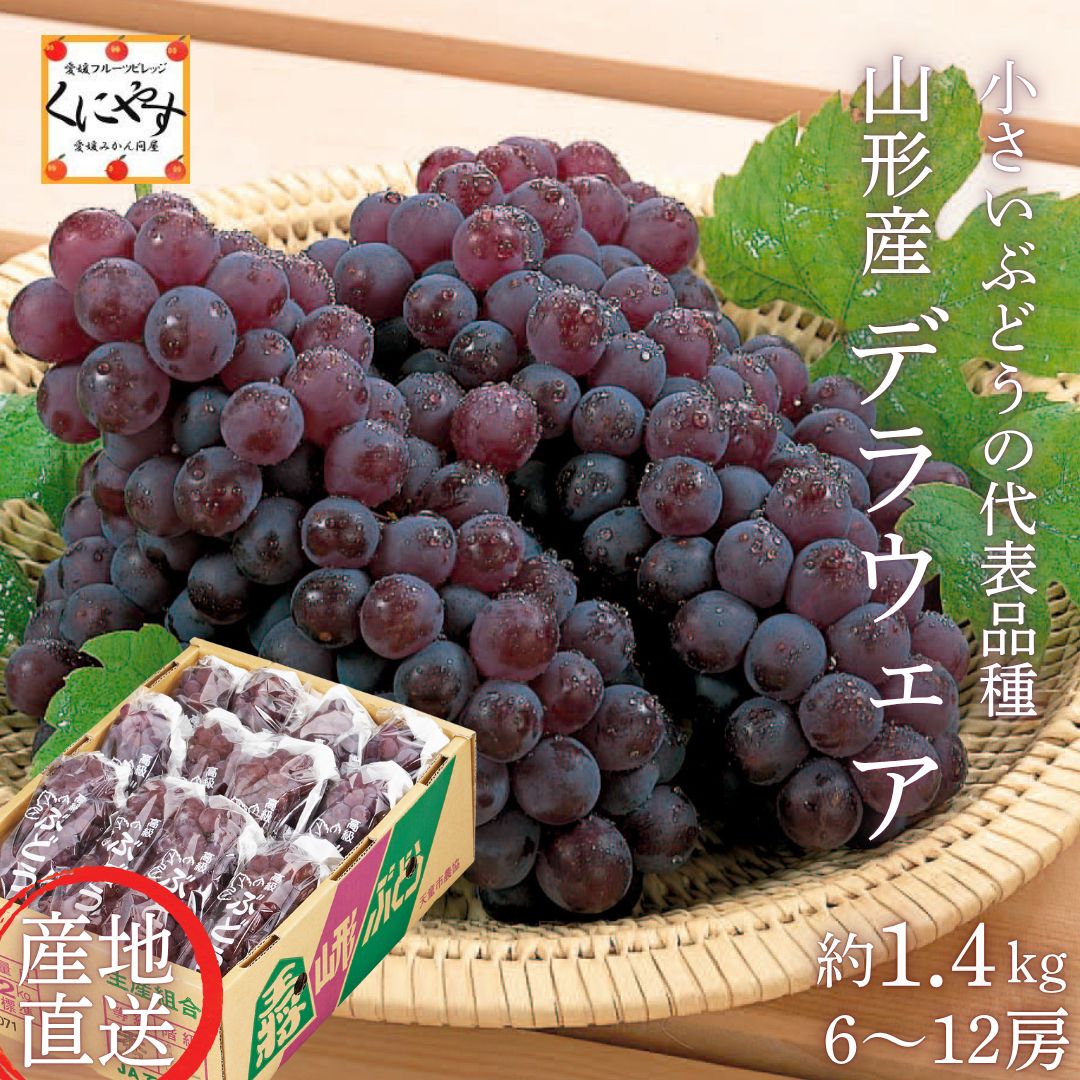 山形産デラウェアぶどう 約1.4kg 送料無料 - メルカリ