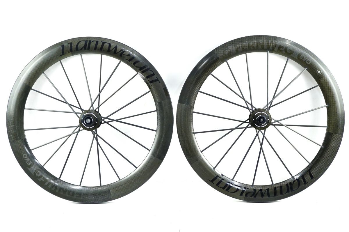 lightweight fernweg evo ホイール　ライトウェイト LIGHTWEIGHT 「ライトウェイト」 FERNWEG EVO 63 SCHWARZ ED TL DISC