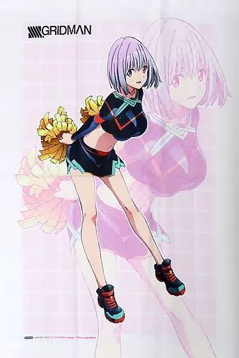 新条アカネ タペストリー 中古】タペストリー 新条アカネ チアガールstyle B2タペストリー
