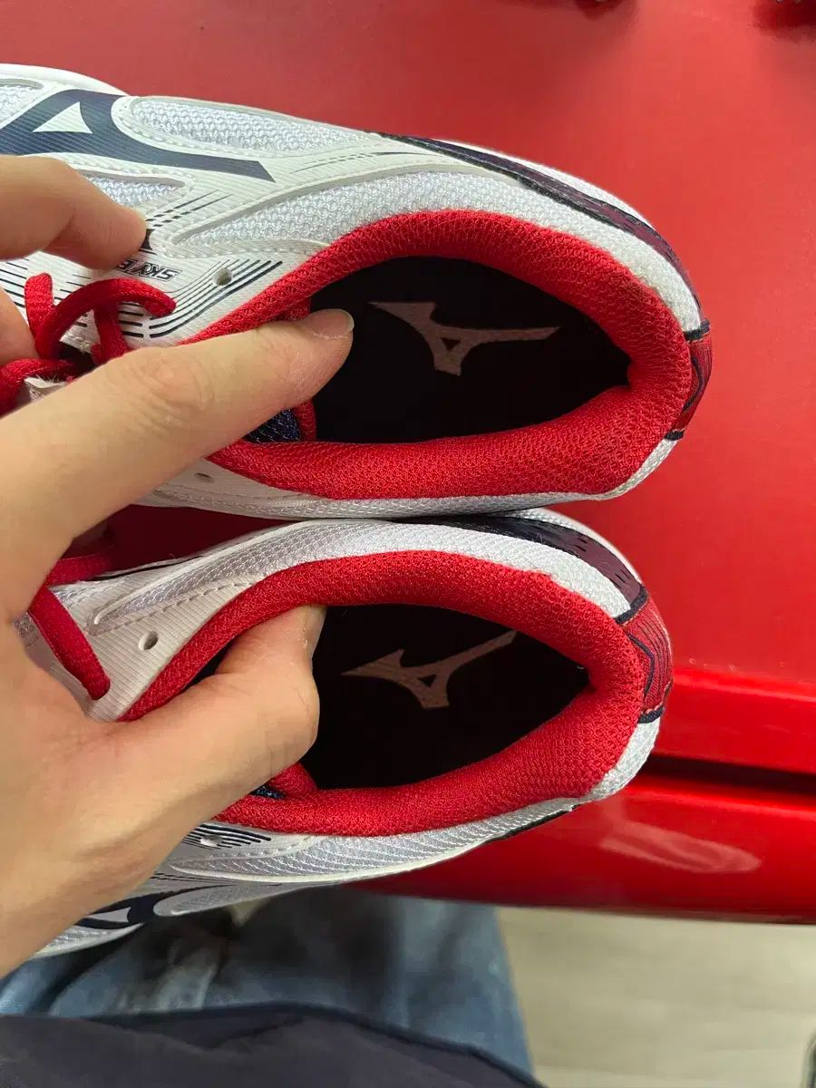 mizuno(ミズノ) スカイブラスト 245