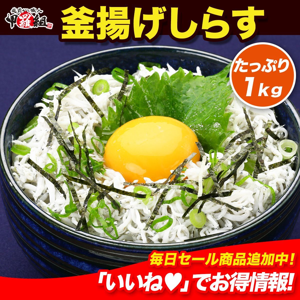 【甲羅組】無添加＆無漂白の一級品！ 静岡県産 釜揚げしらす 業務用1kg ※在庫限り シラス