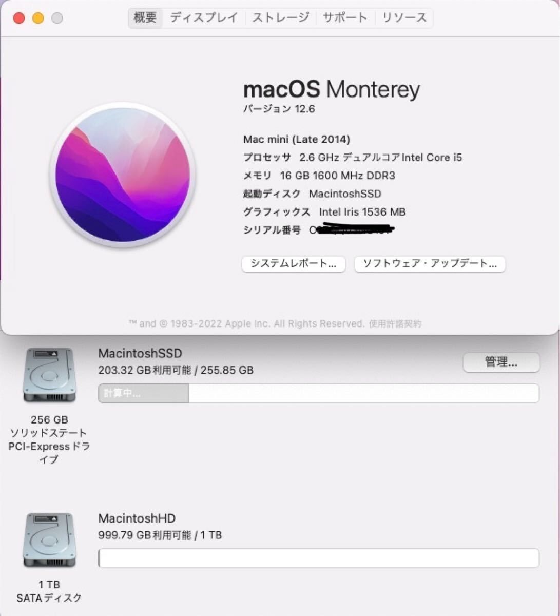 美品」Apple Mac mini (Late 2014)/CPUi5 2.6ghz/16GB/SSD256GB+