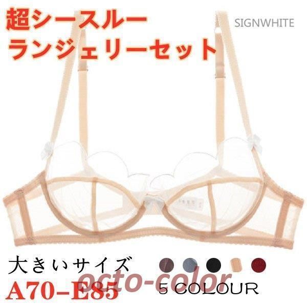 ブラジャー セット ショーツ 大きいサイズ シースルー ブラ 透け