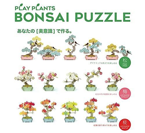 梅 JAPANESE APRICOT BONSAI PUZZLE 盆栽パズル (梅 JAPANESE APRICOT