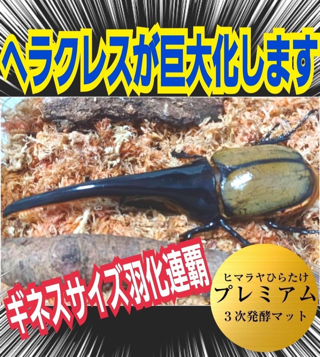 極上！プレミアム3次発酵カブトムシマット【20L】ヘラクレス180ミリ