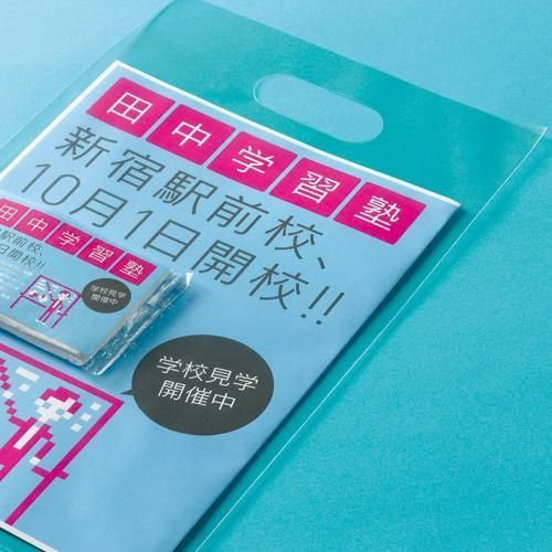 ＣＰＰ手提袋 小判抜きタイプ Ａ４ ヨコ２３０×タテ３８０×厚さ０.０５ｍｍ １セット ５００枚 ５０枚×１０パック WWW_OLIVIERBERNSTEIN_COM