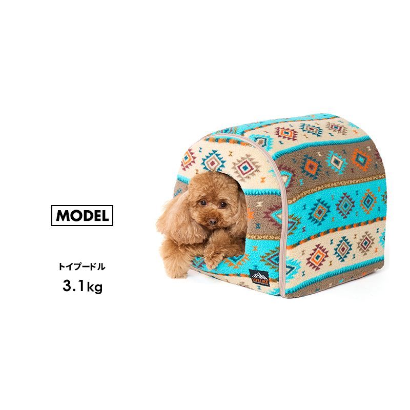 チワワ トイプー