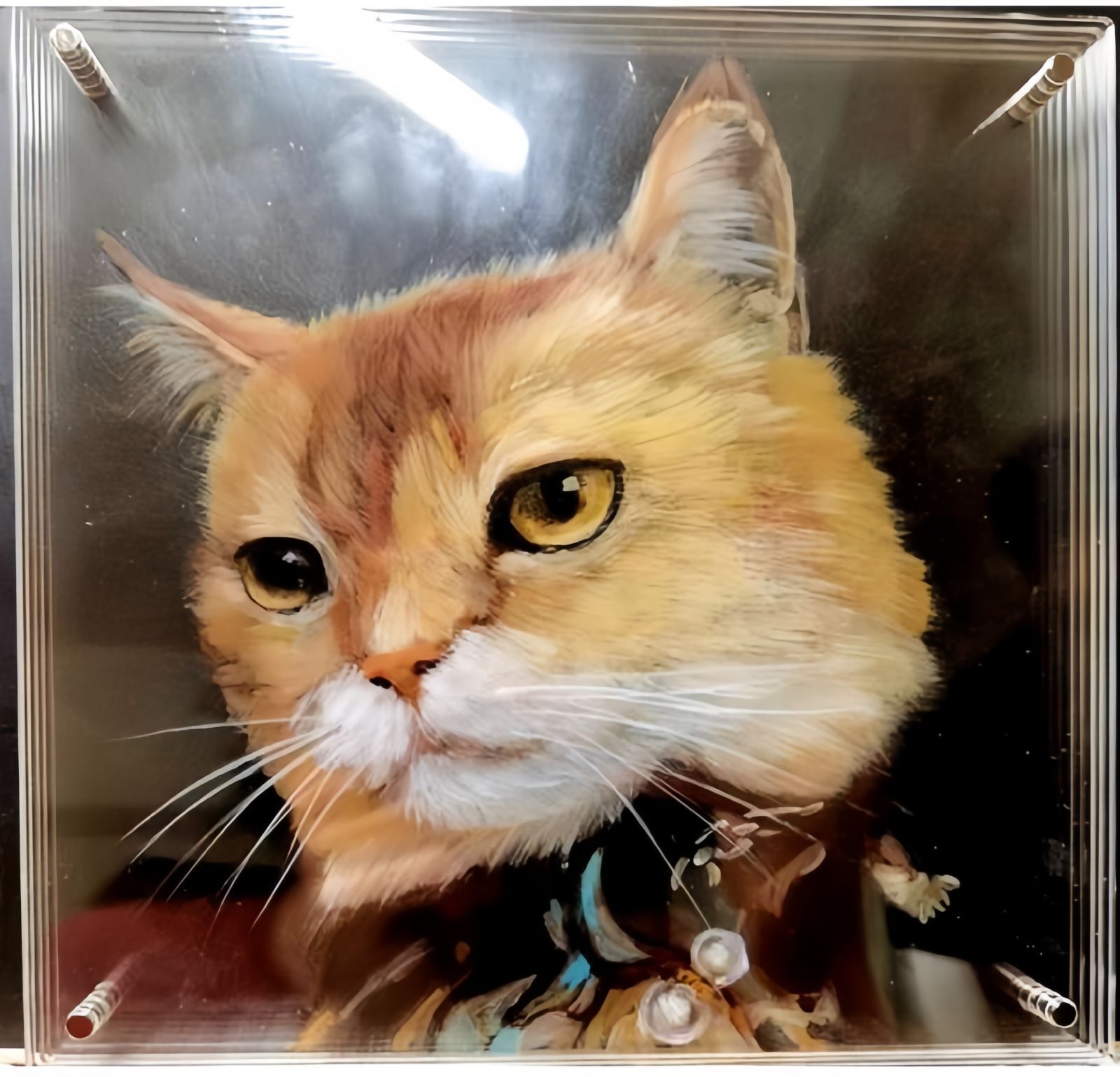 ペット 立体アクリル肖像画 完全オーダーメイド 犬 猫 写真から