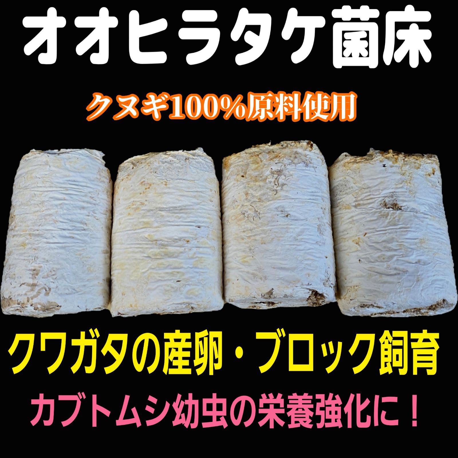 カブトムシ幼虫の栄養強化に！オオヒラタケ菌床【20ブロック】クワガタの産卵にも！ 昆虫用品 カブトムシ幼虫の栄養強化に！オオヒラタケ菌床【20ブロック