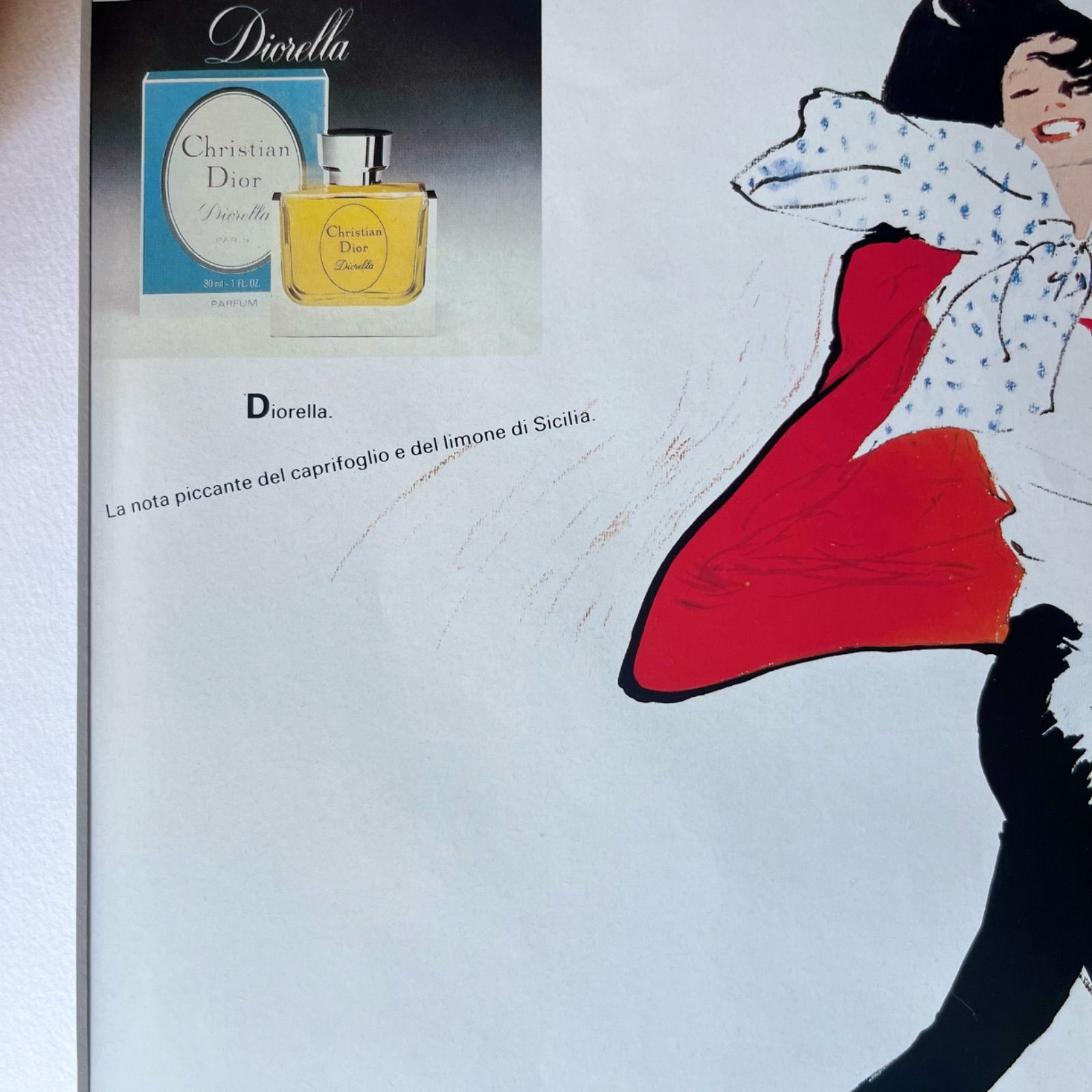 1982 広告＞Dior Rene Gruau ディオール ルネ・グリュオ
