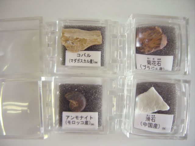 鉱物標本図鑑4フルコンプ11種 ガシャポン