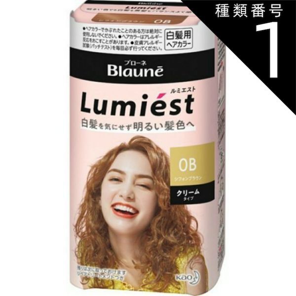 【10個セット】花王ブローネ　ルミエスト 白髪染め 1B 2B 1M 種類1：10個 まとめ買い 花王 ブローネ ルミエスト ヘアカラー