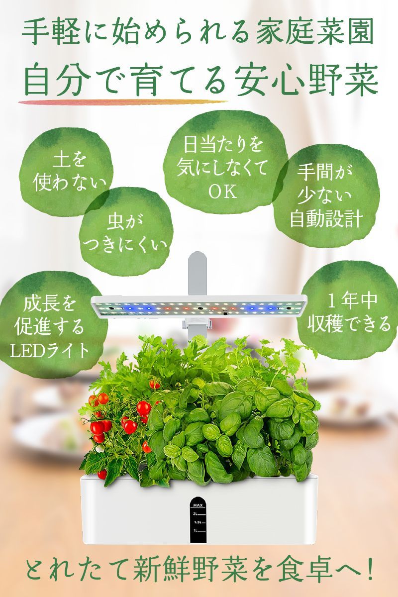 家庭菜園
