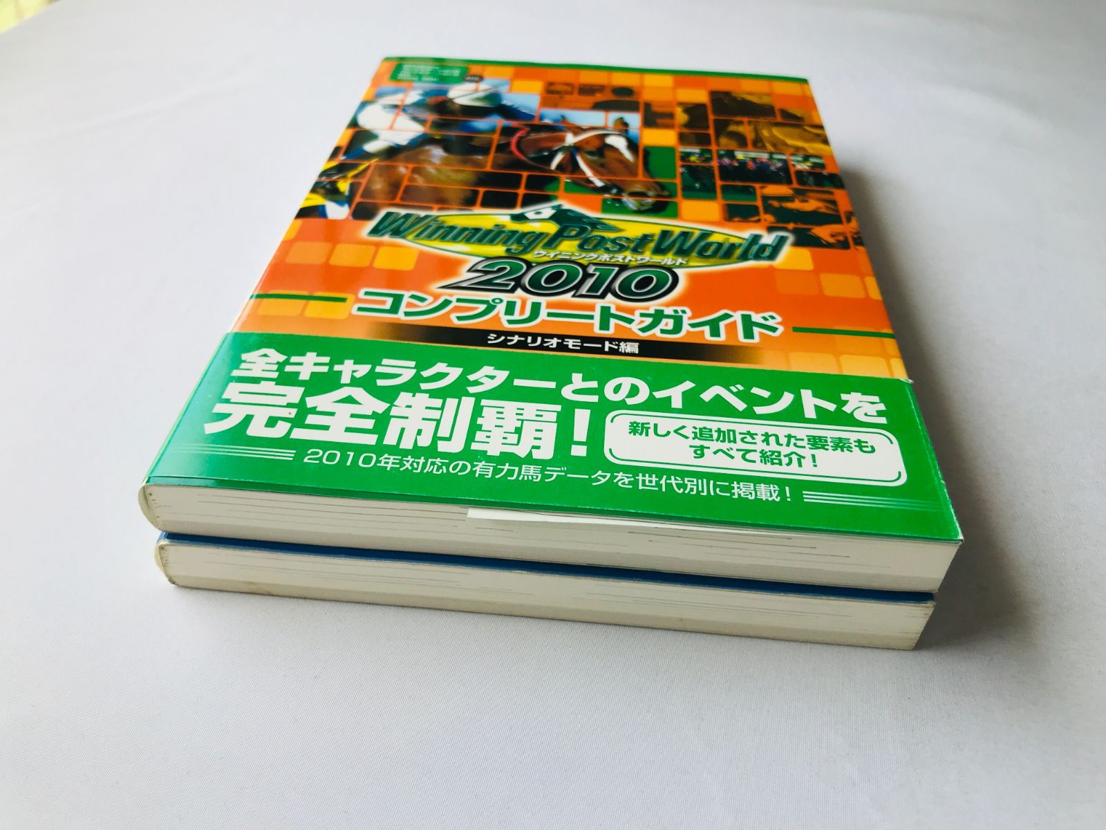 ウイニングポストワールド 2010 コンプリートガイド シナリオ