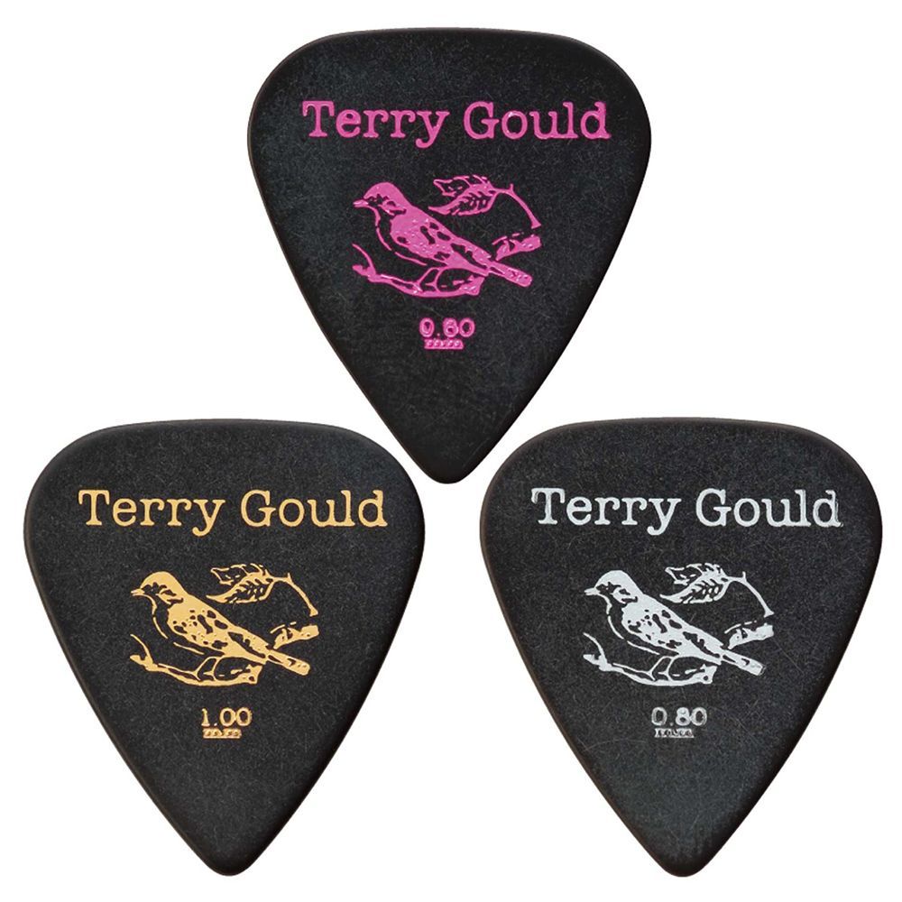 Pickboy ピックボーイ ギターピック GP-TG-TB/100 Terry Gould