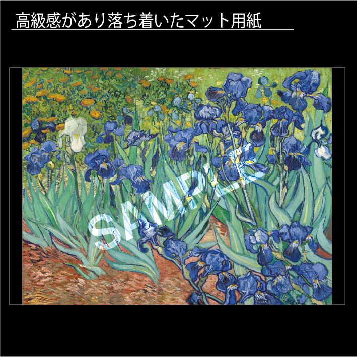 額縁】ゴッホ あやめ アイリス ポスター 額付き