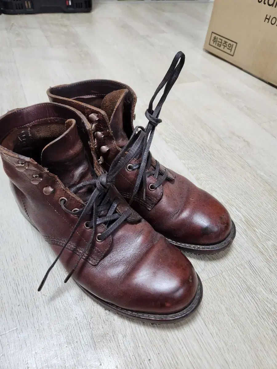255 サイズ
