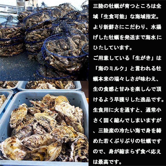 生食OK 三陸産 殻付き 生牡蠣 3kg 今季初出し 希少 数量限定 新鮮 宮城 ...