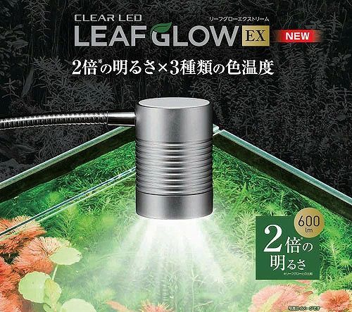 テラリウム 水草育成