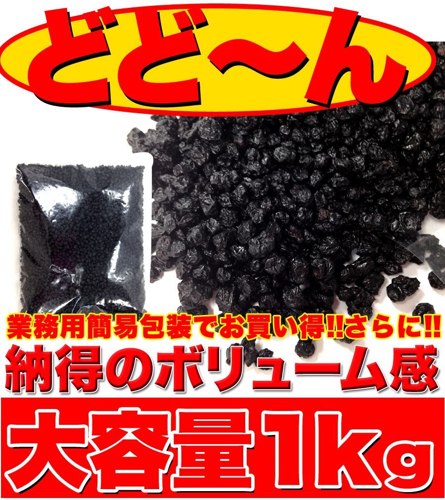 野生種★ワイルドブルーベリー大容量１ｋｇ≪常温≫SM00010048
