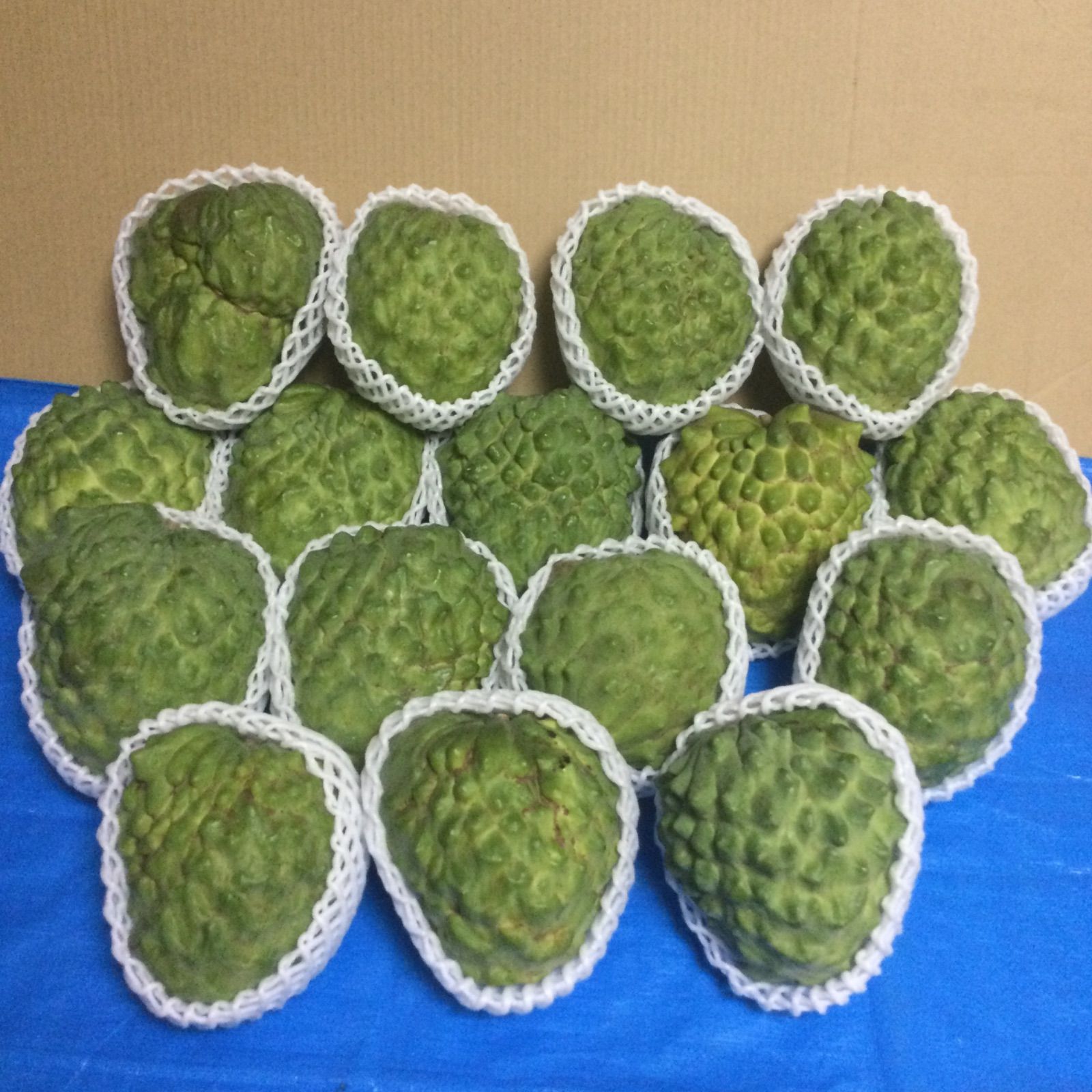 食品 アテモヤ2㎏以上.7800円 4玉〜8玉、Mサイズ〜3L