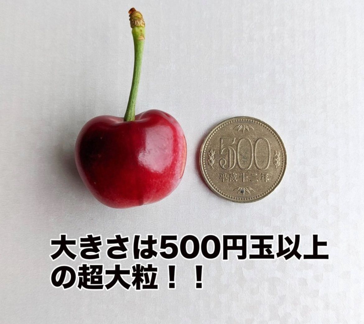 梱包材込み5kg