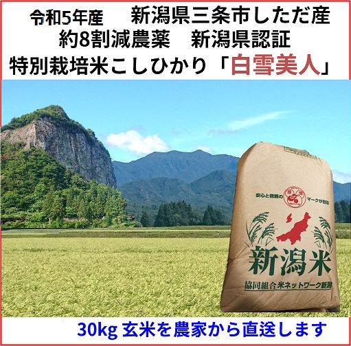 減農薬　新潟こしひかり白米90kg　新潟県三条市旧しただ村産　特別栽培米100%