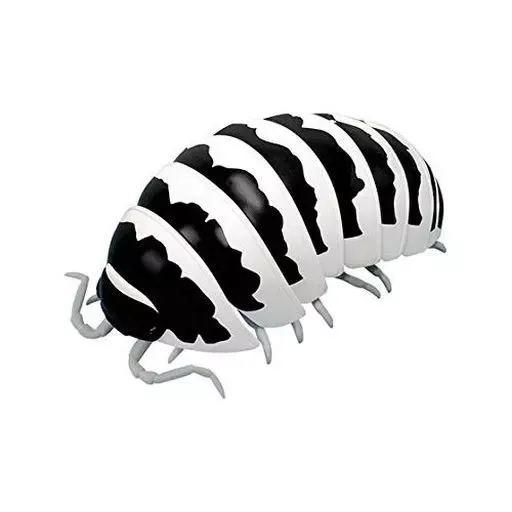 ダンゴムシ  ガチャ ゼブラセット ダンゴムシ ガチャ ゼブラセット 2025年最新】ゼブラ ダンゴムシ