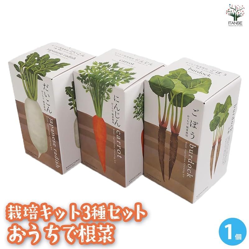 ごぼう