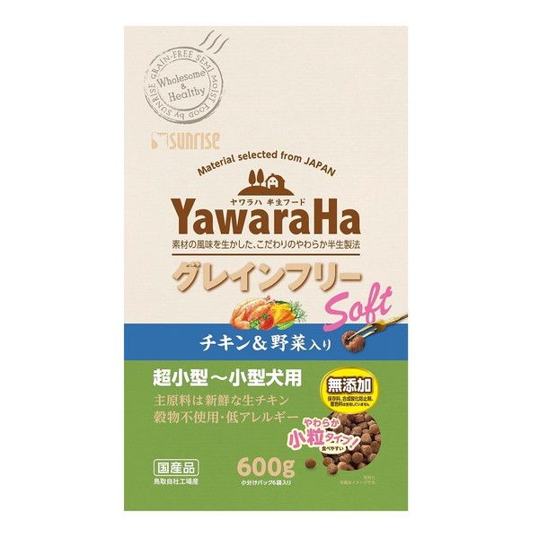 ギガデイン ロトスペシャル 鳥山明 書き下ろし