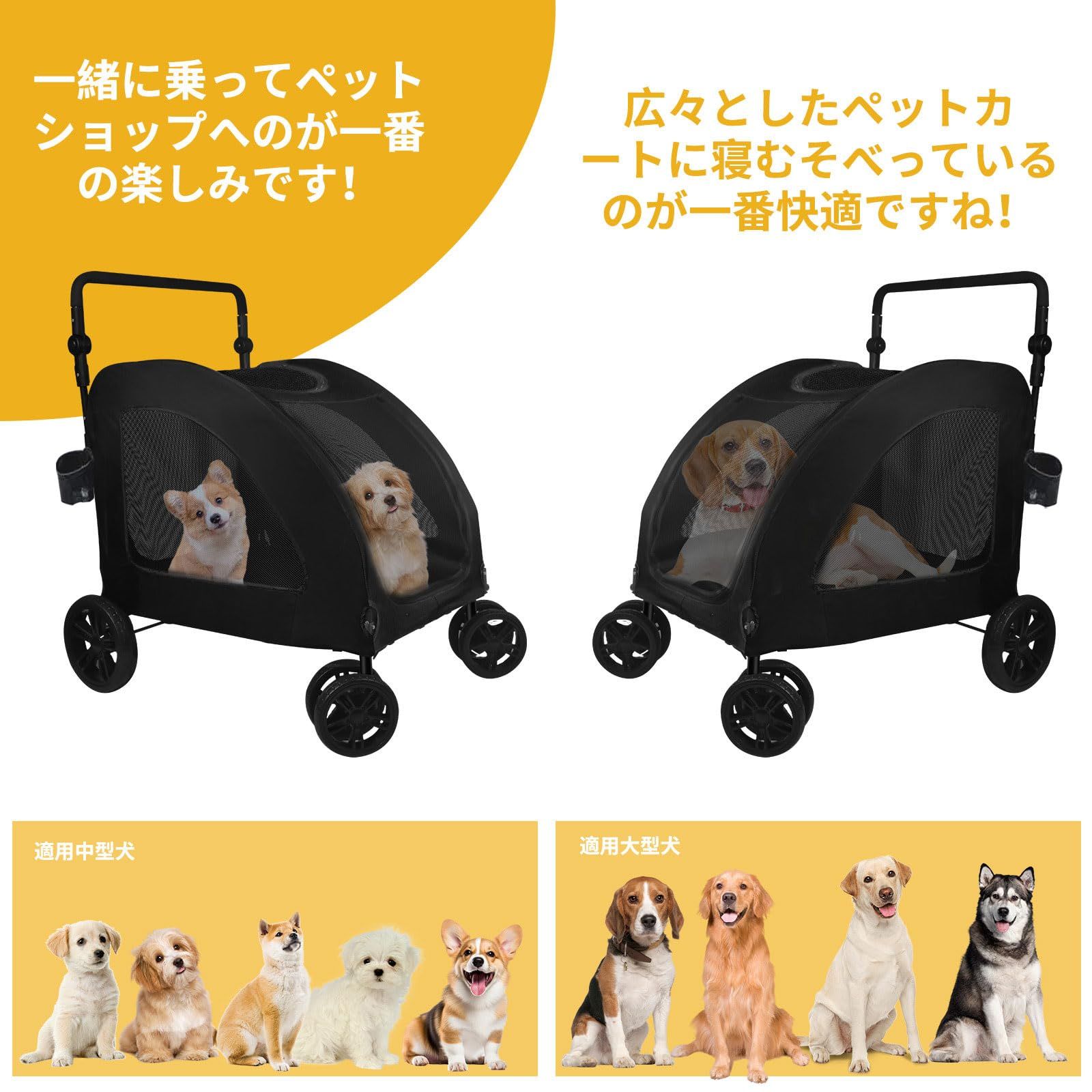 中型 多匹飼い向け