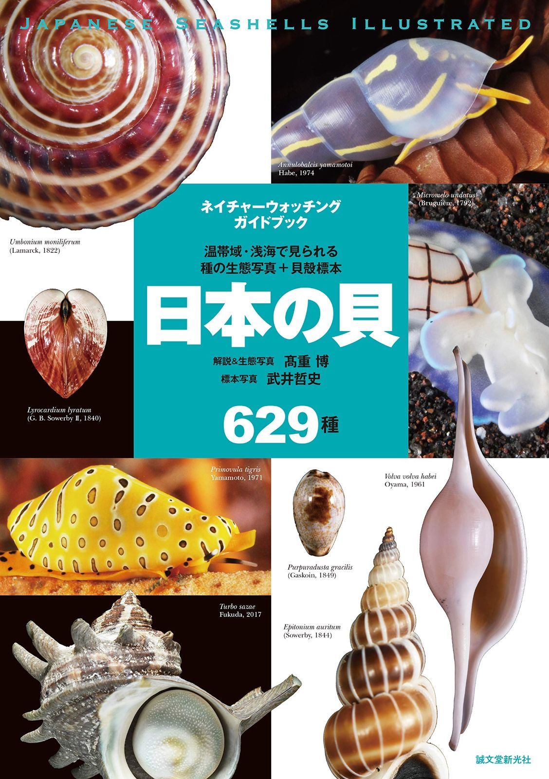 日本の貝: 温帯域・浅海で見られる種の生態写真+貝殻標本 (ネイチャー