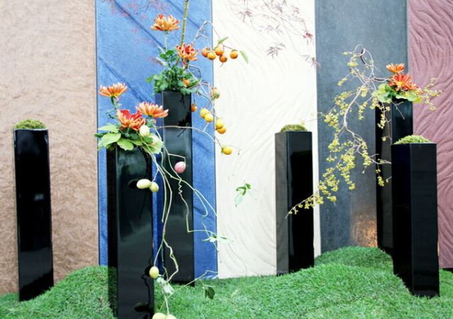 ① ナツメヤシ 耐寒性ヤシ 8号鉢 高さ110cm 実生5年生 現品 ① ナツメヤシ 耐寒性ヤシ 8号鉢 高さ110cm 実生5年生 現品