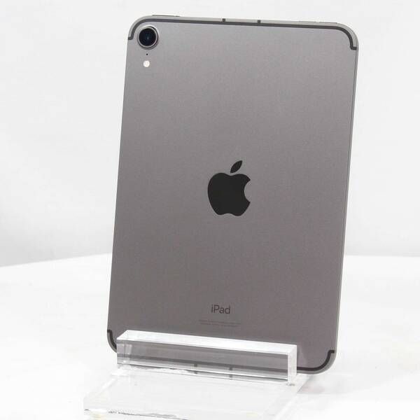 mini 256GB iPad 第6世代 APPLE 〔中古〕iPad 〔中古品〕 スペース