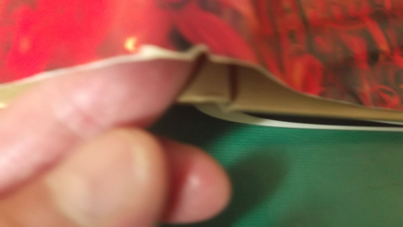 出M 9768 そめ花 美的生活 安田早葉子