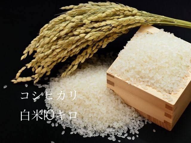 R6 新潟県産コシヒカリ白米10キロ