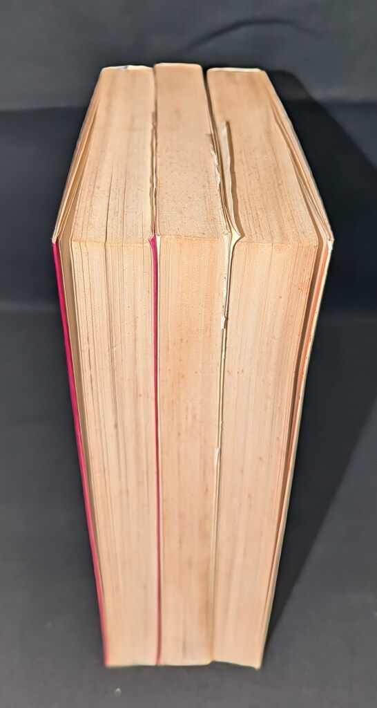 アガベ ホリダ SS級 選抜優良SS級株】感謝祭！！発根済み！！大株