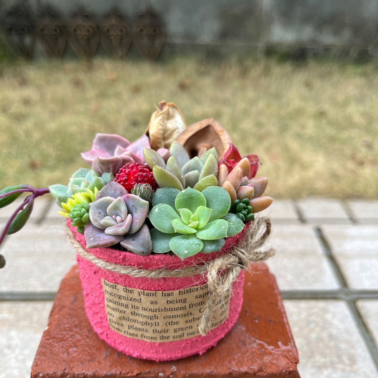 ⭐️お値下げ⭐️多肉植物そのまま飾れる♡ねこさん柄リメイク缶