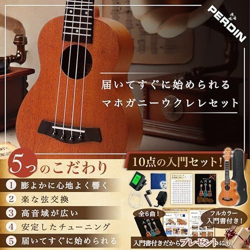 新品※未使用] ソプラノ ウクレレ 初心者セット 楽譜付き 10点