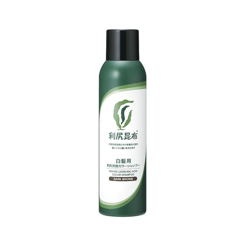 Sastty (サスティ) 【白髪用】利尻炭酸カラーシャンプー (ダークブラウン) 180g