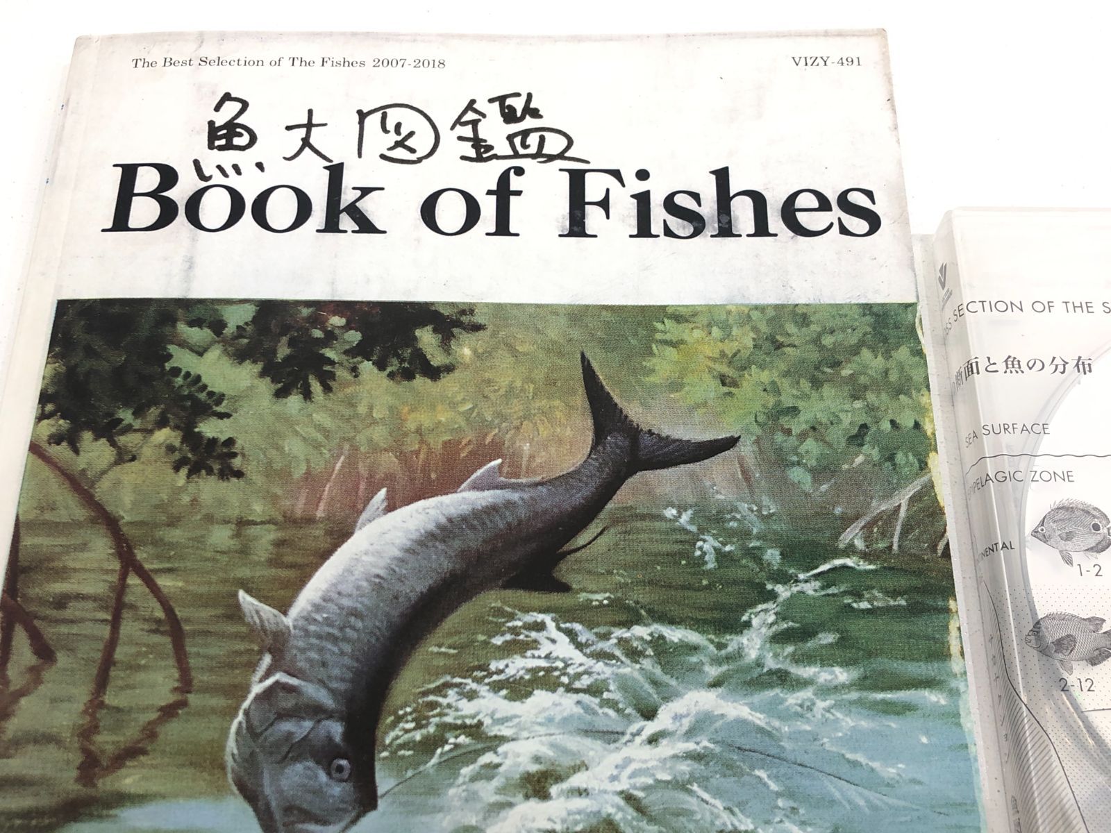 魚大図鑑 サカナクション サカナクション 魚大図鑑 Book of Fishes