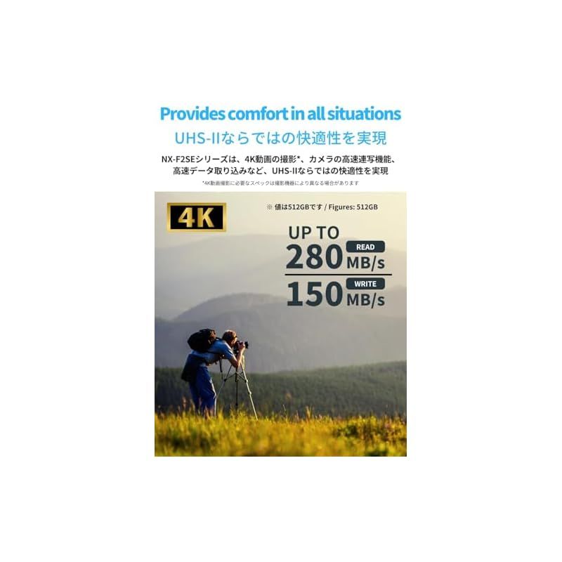NX-F2SE512G ネクストレージ