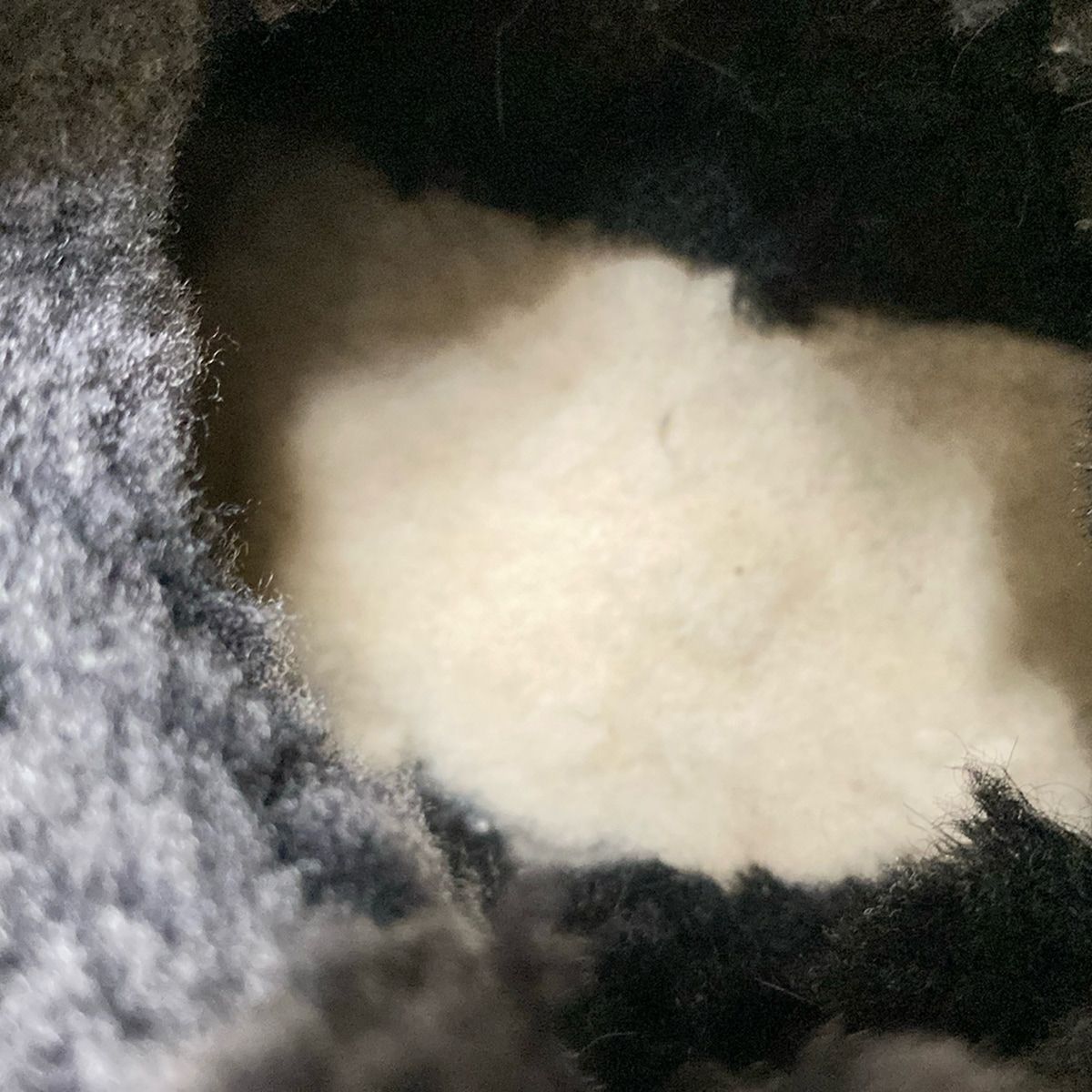 ショートブーツ 24