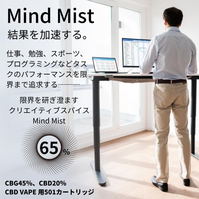 種類3:カートリッジ単品/ウォーターメロン ブリーズ CBD リキッド 高濃度 CBG 65％ スターター セット CBN ベイプ メンソール リキッド カートリッジ CBD電子タバコ CBDベイプ vape cbdカートリッジ cbgベイプ 510規格 本体