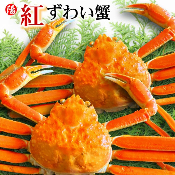 紅ズワイガニ　北海道小樽産　ボイル済み　2キロ売り 紅ズワイガニ 北海道小樽産 ボイル済み 2キロ売り