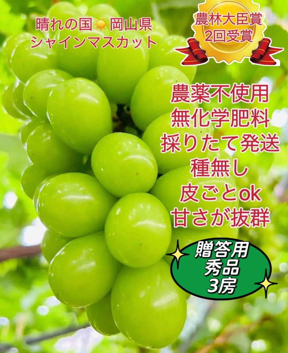 【予約販売】岡山県シャインマスカト農林大臣賞無農薬3房秀品上品な甘さ特別な香 岡山県シャインマスカト農林大臣賞 無農薬3房秀品贅沢な甘さ特別