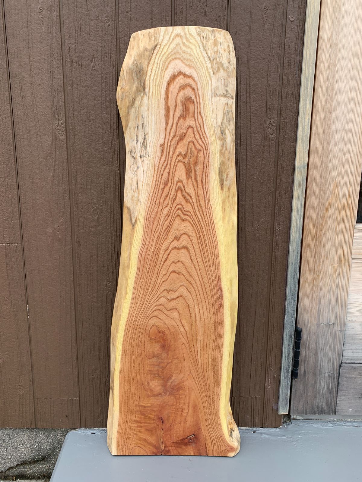 センダン 栴檀 一枚板 93cm 板材 木材 [305]