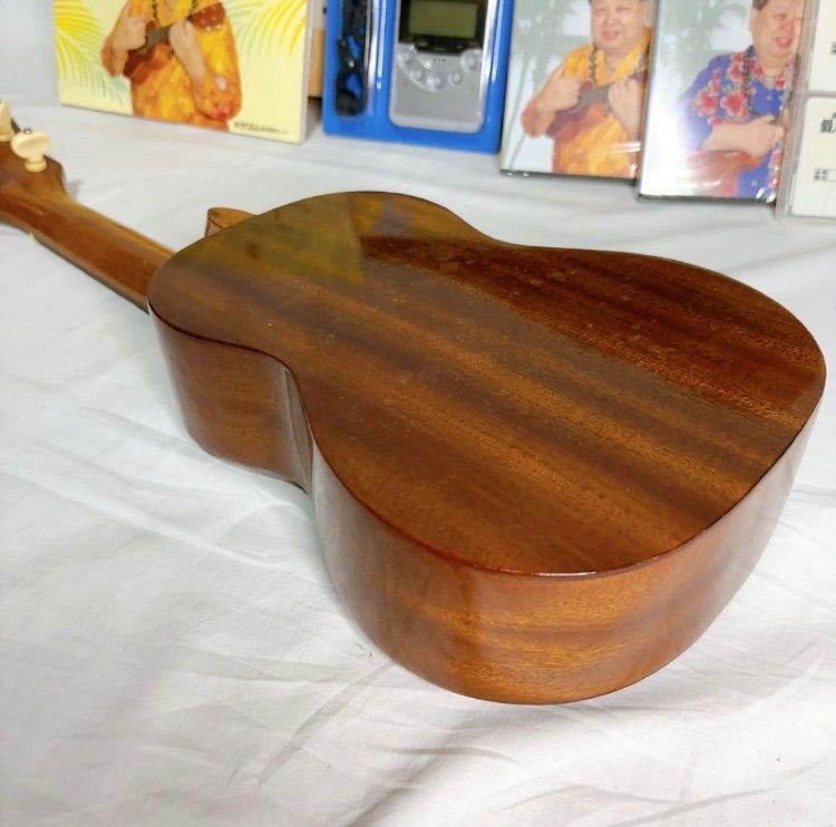 がくぶん 高木ブーの楽しいウクレレ